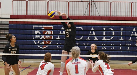 Acadia tops Volleyball Tigers
