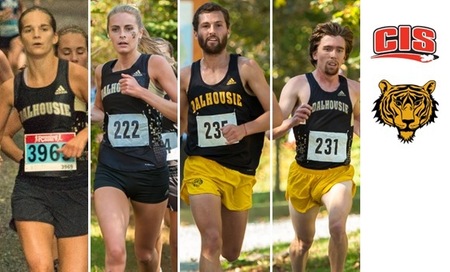 Cross Country teams off to CIS Championships