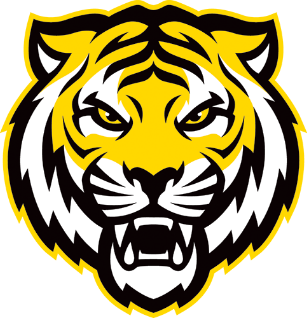 Dalhousie Tigers Logo